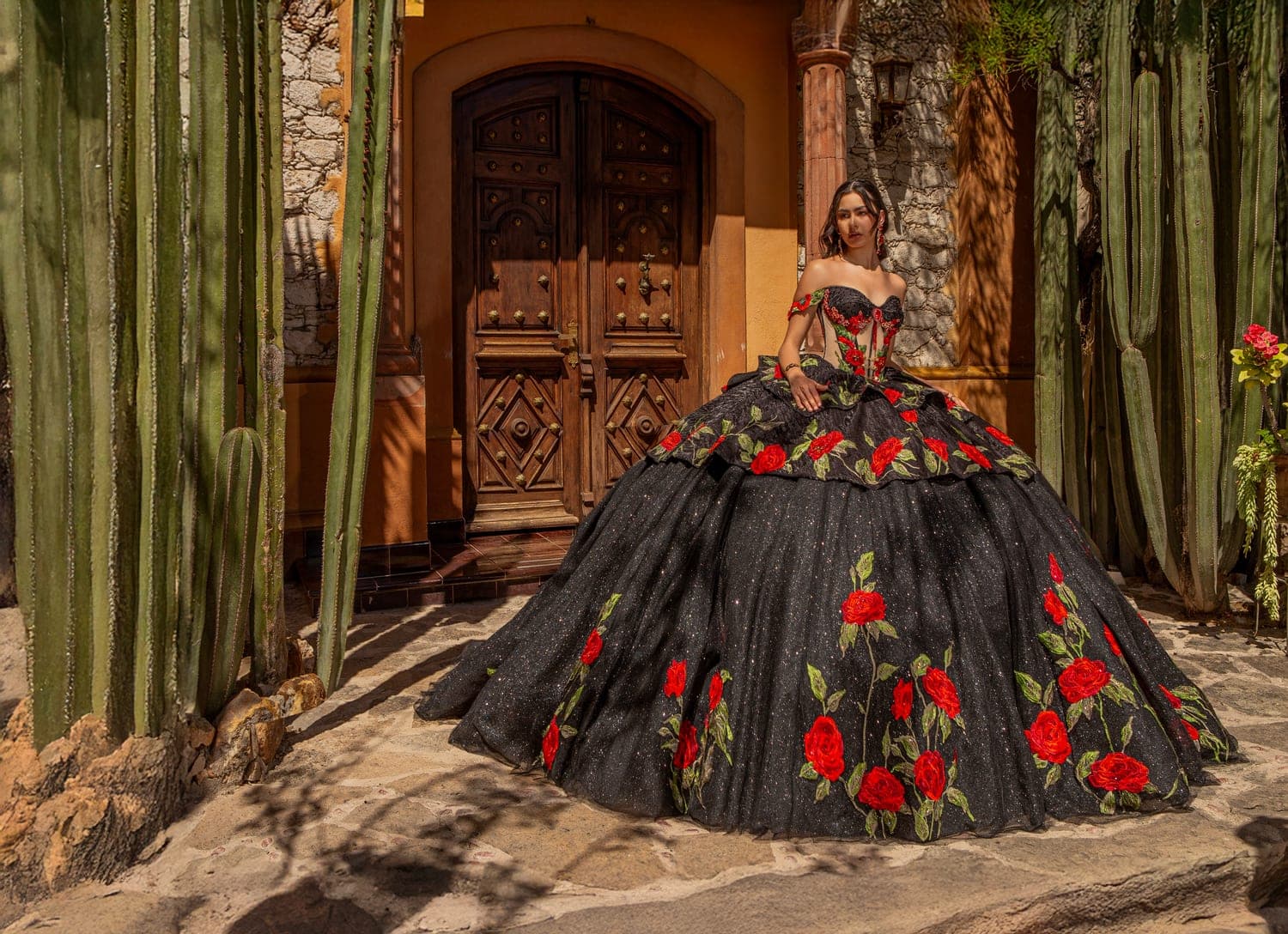 MV57-157 — NEGRO ROJO - view 4