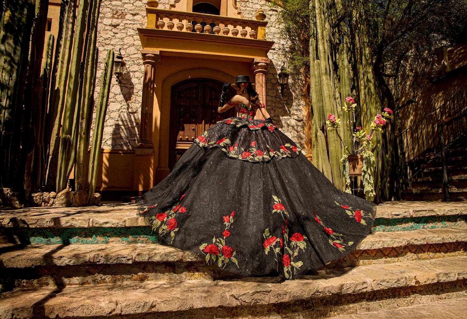 MV57-157 — NEGRO ROJO - view 5